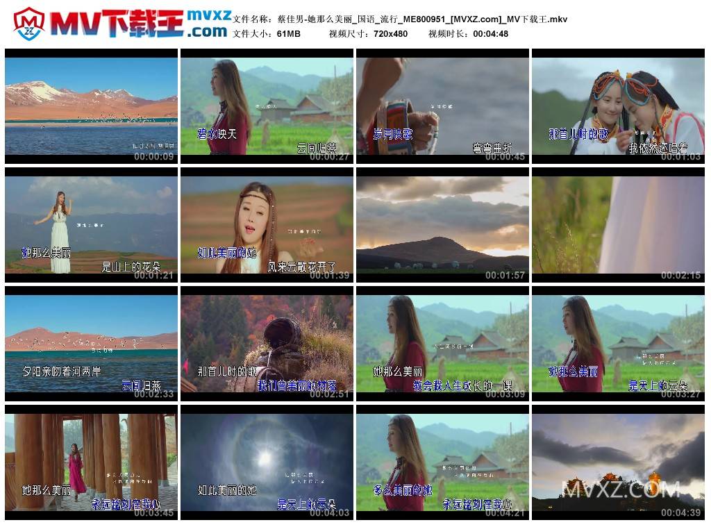 蔡佳男-她那么美丽_国语_流行_ME800951